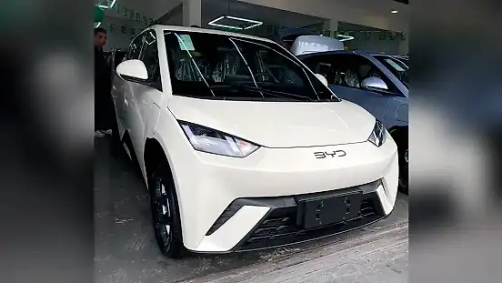 Foto de um byd dolphin mini