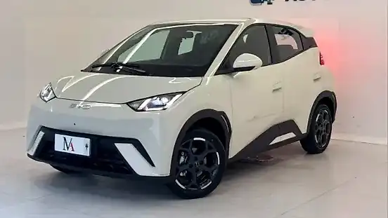 Foto de um byd dolphin