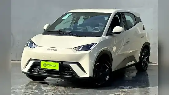 Foto de um byd dolphin