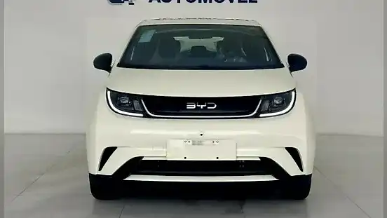 Foto de um byd dolphin