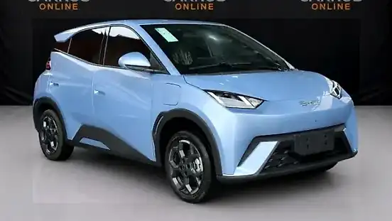 Foto de um byd dolphin mini