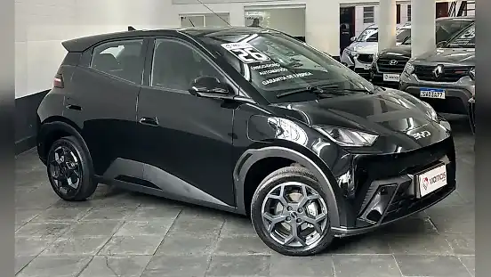Foto de um byd dolphin mini