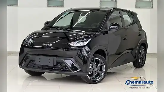 Foto de um byd dolphin mini