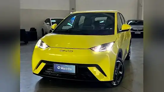 Foto de um byd dolphin mini