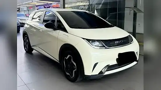 Foto de um byd dolphin