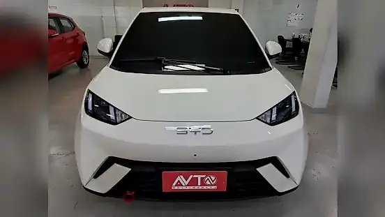 Foto de um byd dolphin mini