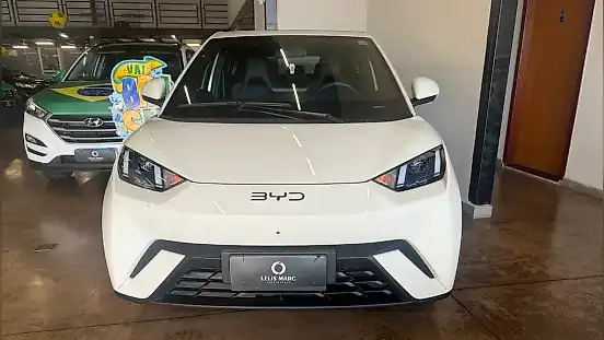 Foto de um byd dolphin mini