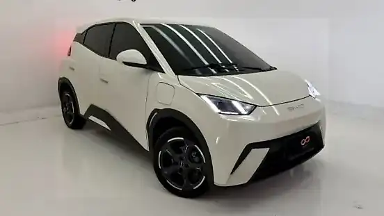 Foto de um byd dolphin mini