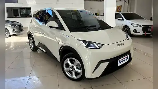 Foto de um byd dolphin mini