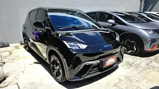 Foto de um byd dolphin mini