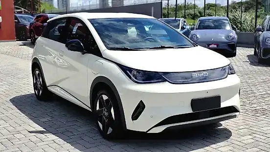 Foto de um byd dolphin
