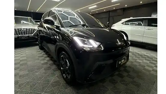 Foto de um byd dolphin mini