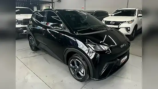 Foto de um byd dolphin mini