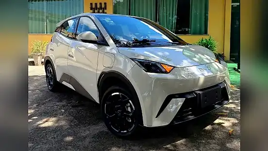 Foto de um byd dolphin mini