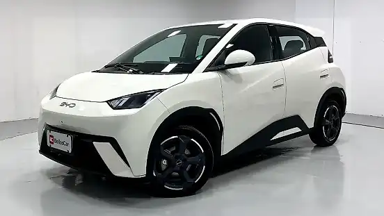 Foto de um byd dolphin mini