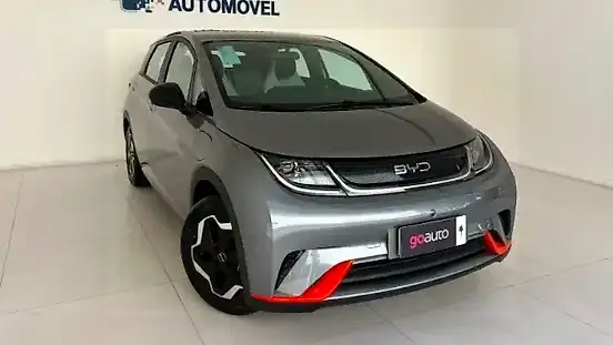 Foto de um byd dolphin