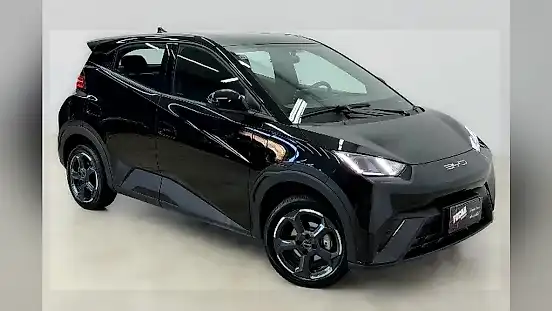 Foto de um byd dolphin mini