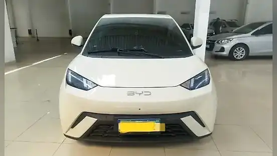 Foto de um byd dolphin mini