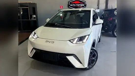 Foto de um byd dolphin mini