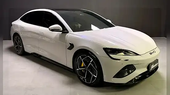 Foto de um byd seal
