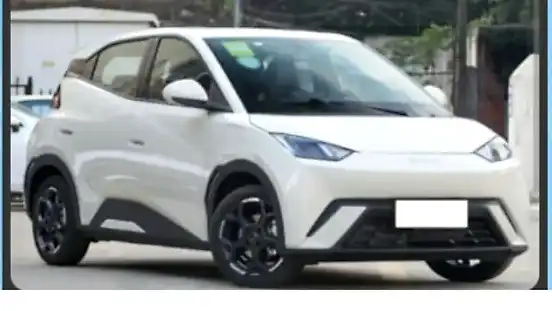 Foto de um byd dolphin mini