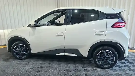 Foto de um byd dolphin mini