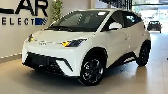Foto de um byd dolphin
