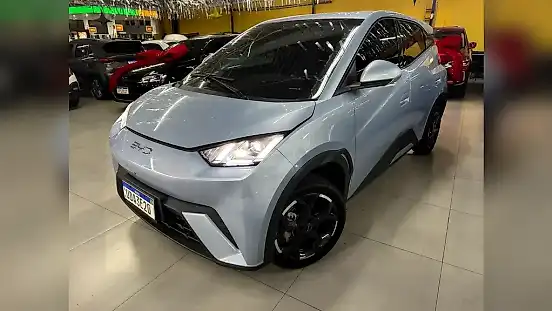 Foto de um byd dolphin mini