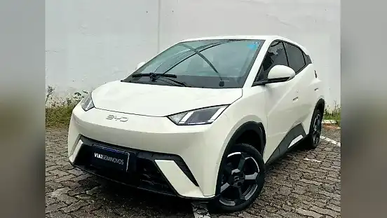 Foto de um byd dolphin mini