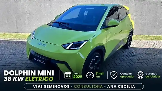 Foto de um byd dolphin mini