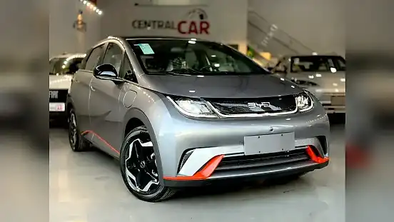 Foto de um byd dolphin