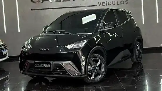Foto de um byd dolphin