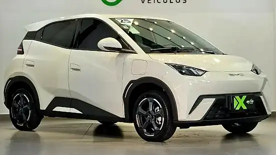 Foto de um byd dolphin mini