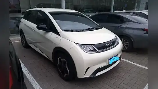Foto de um byd dolphin
