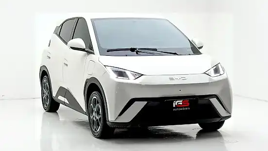 Foto de um byd dolphin mini