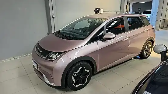 Foto de um byd dolphin