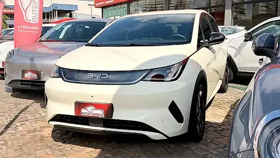 Foto de um byd dolphin