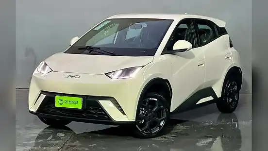 Foto de um byd dolphin
