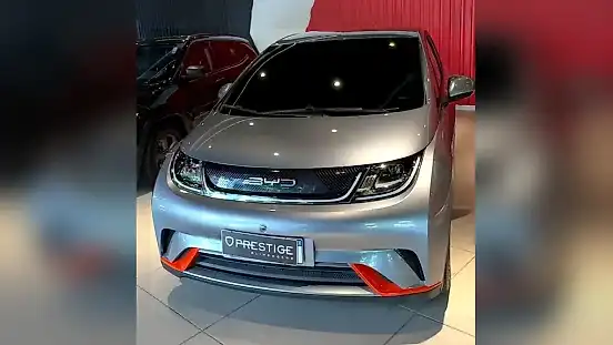 Foto de um byd dolphin