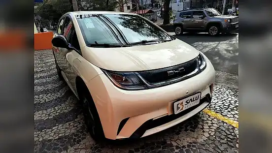 Foto de um byd dolphin