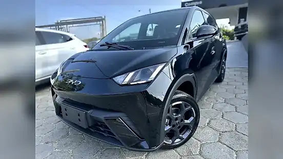 Foto de um byd dolphin mini