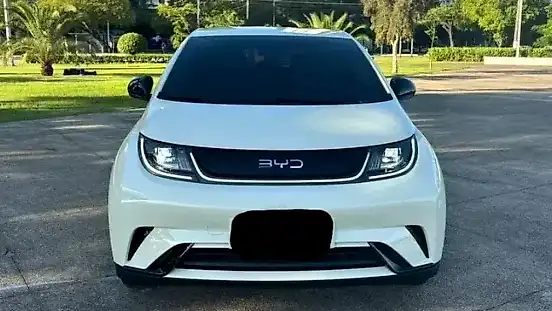 Foto de um byd dolphin