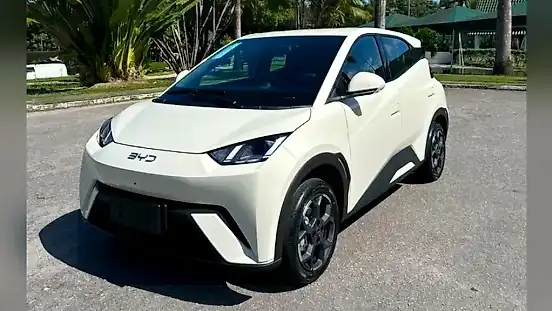 Foto de um byd dolphin mini