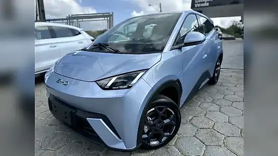 Foto de um byd dolphin mini