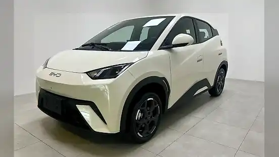 Foto de um byd dolphin