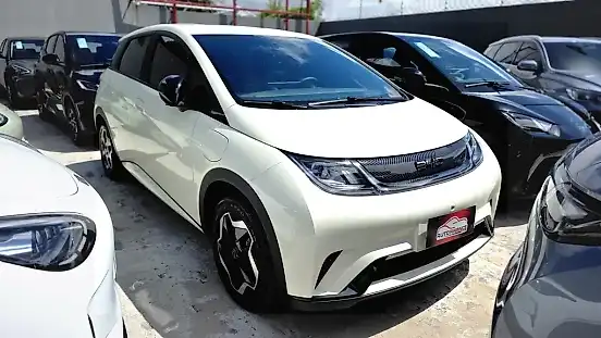 Foto de um byd dolphin