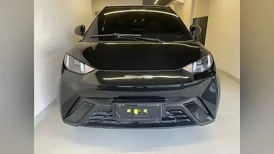 Foto de um byd dolphin mini