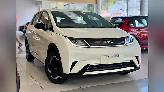 Foto de um byd dolphin