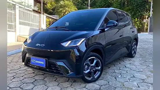 Foto de um byd dolphin mini