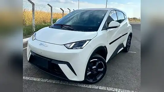 Foto de um byd dolphin mini